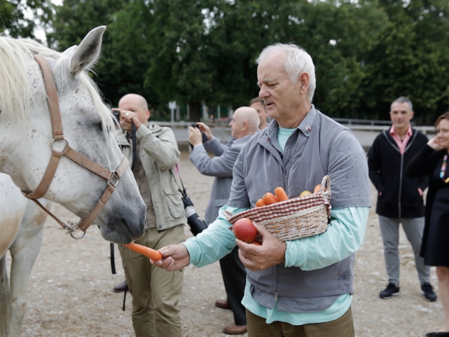 large_article_Bill-Murray-in-lipicanke.jpg
